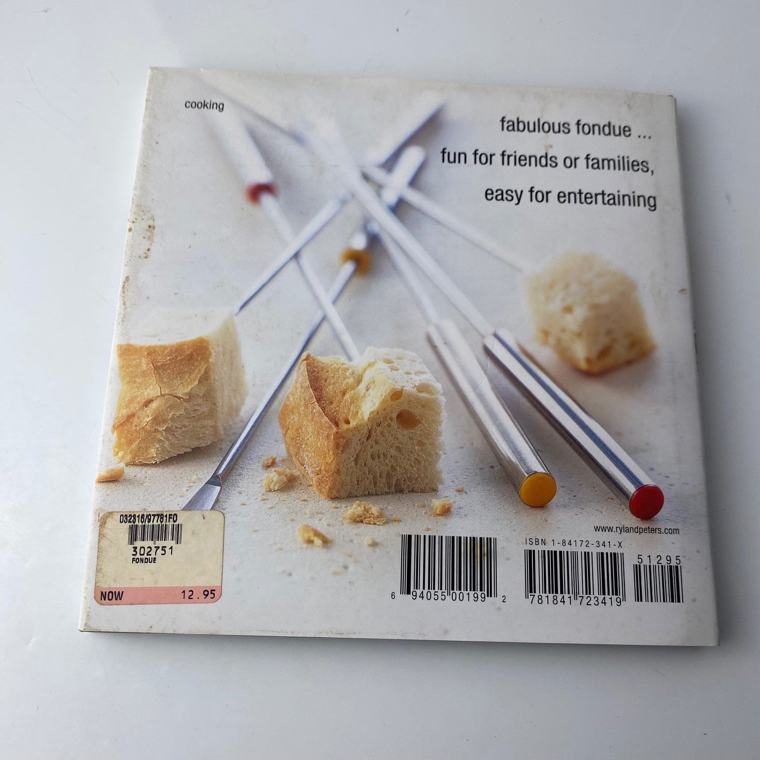 Fondue Fiona Smith 2002 Illustrated Cookbook Ryland Peters & Small