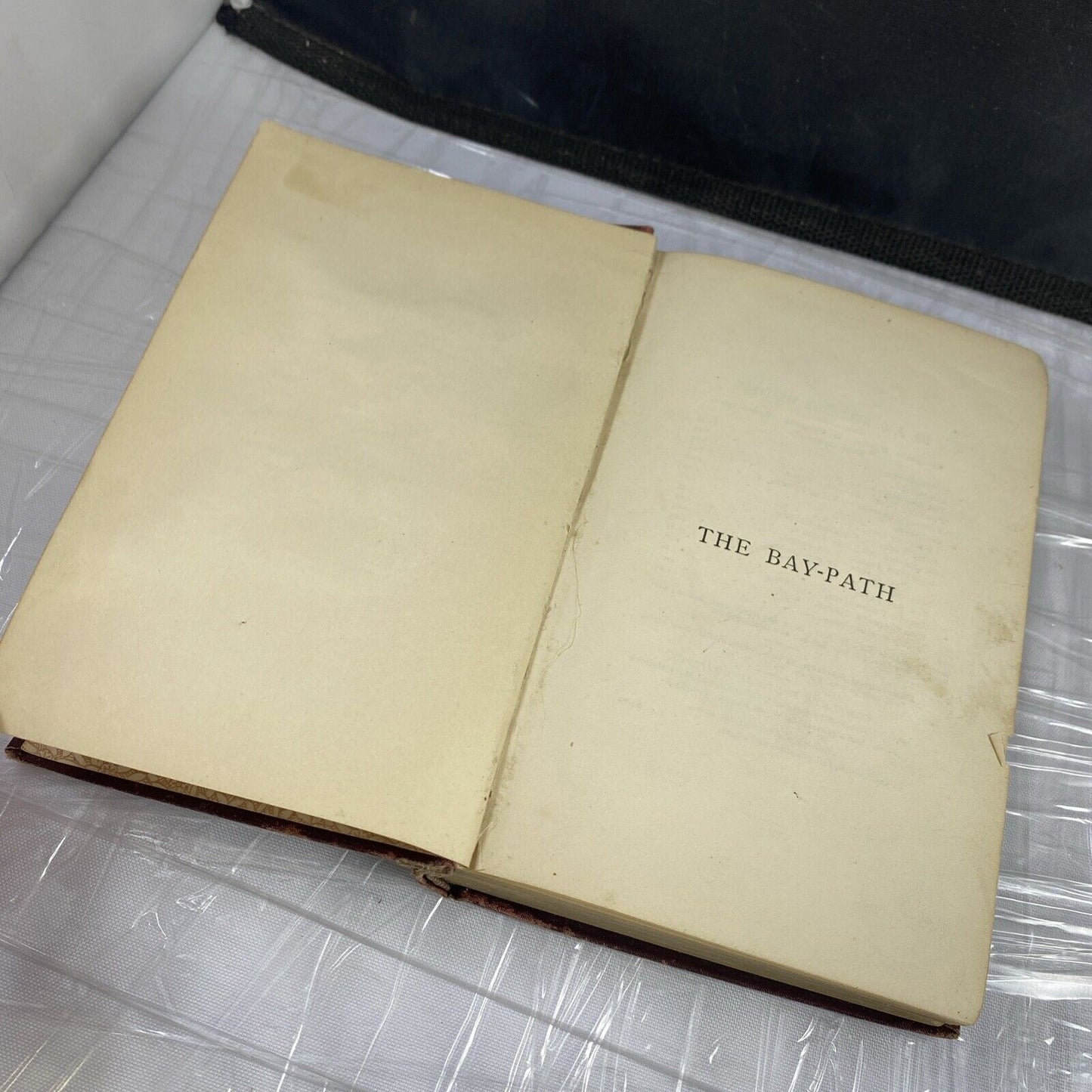 1891 Print Of The Bay Path New England Colonial Life Holland historical Fiction