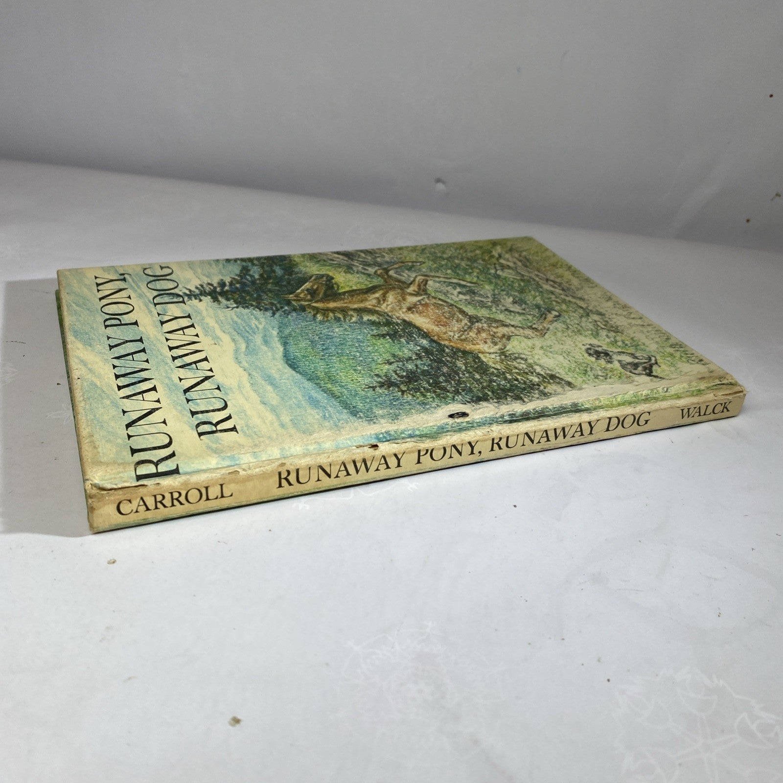 Runaway Pony, Runaway Dog by Ruth & LaTrobe Carroll 1963 Weekly Reader Hardcover
