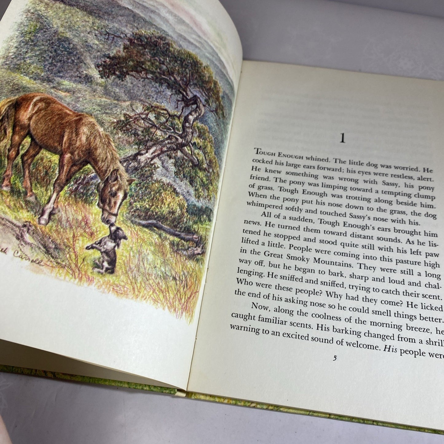 Runaway Pony, Runaway Dog by Ruth & LaTrobe Carroll 1963 Weekly Reader Hardcover