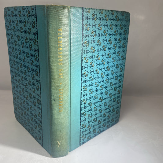 WILDERNESS BOY By Margery Evernden Rare Novel Chapter Book Rebound Vintage