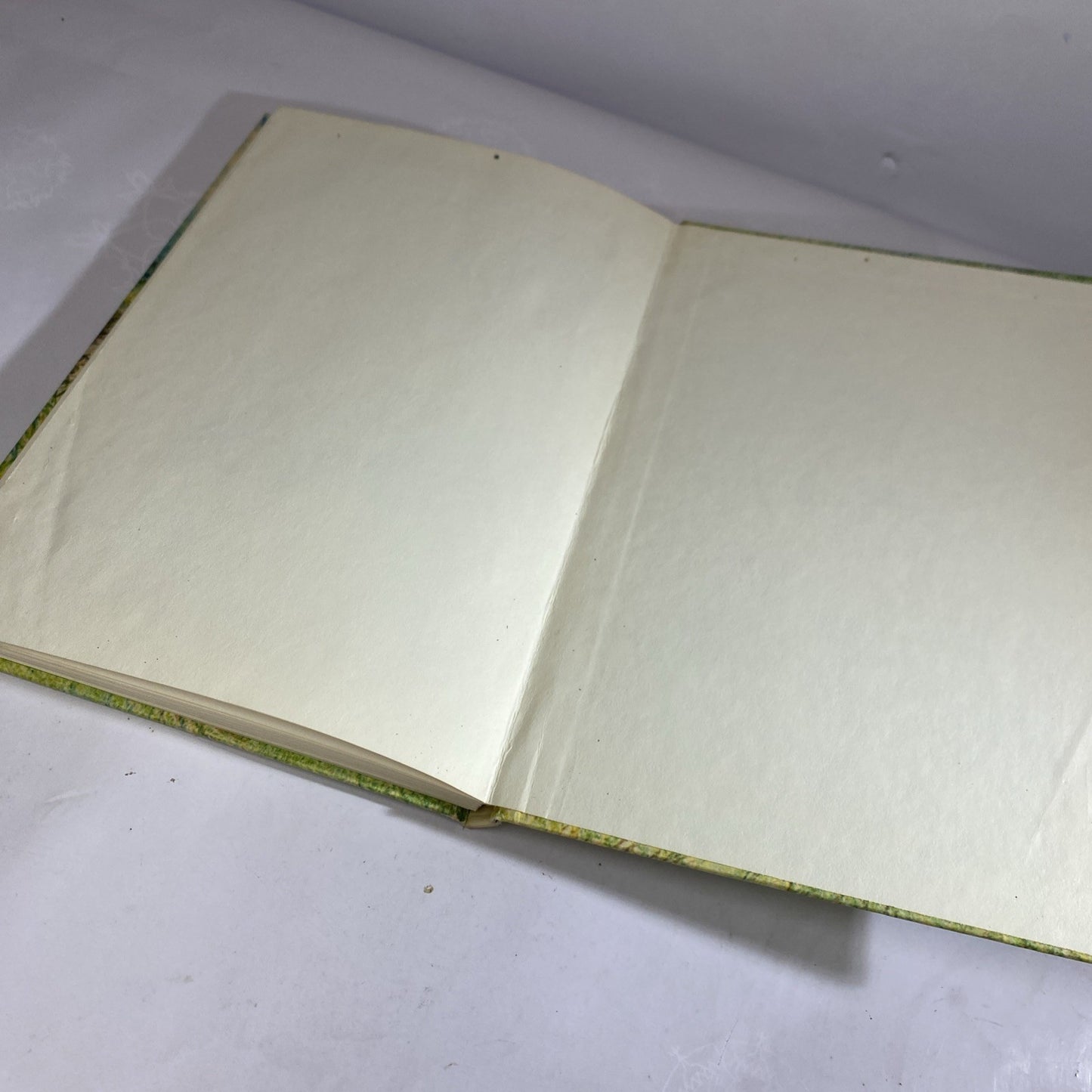Runaway Pony, Runaway Dog by Ruth & LaTrobe Carroll 1963 Weekly Reader Hardcover