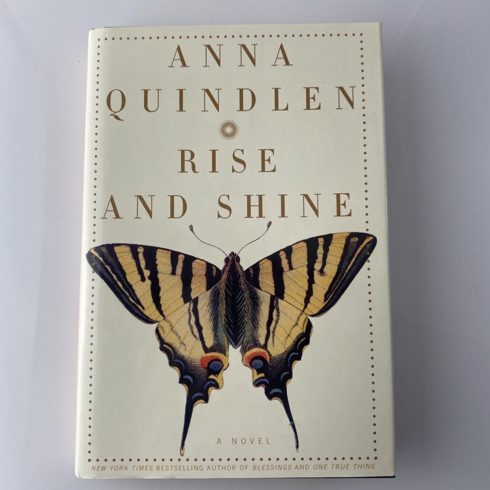 Rise and Shine By Anna Quindlen Hardcover Morning Show Fiction Novel Book 1st Ed