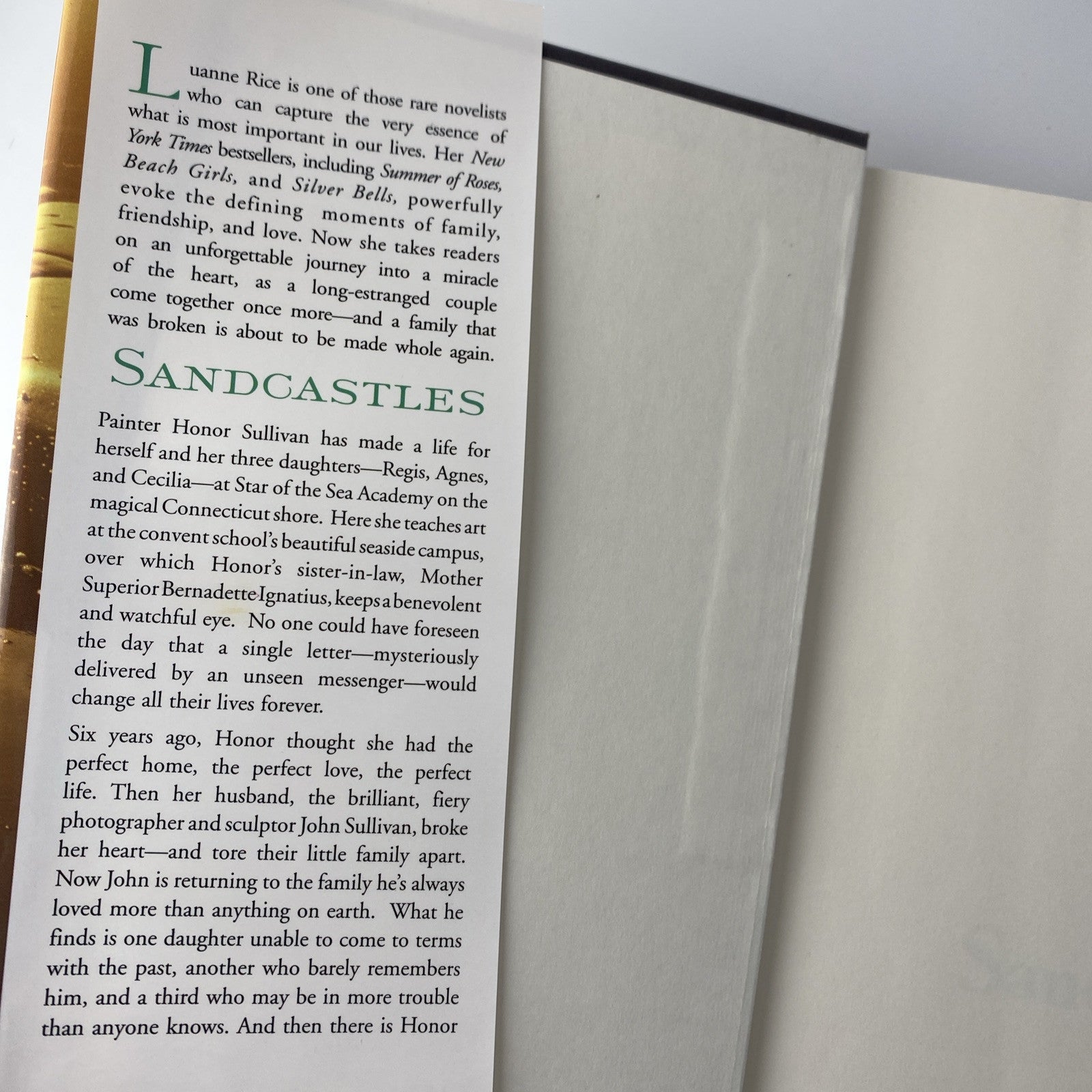 Sandcastles~Luanne Rice~Hardcover Book Club Ed NYT Bestseller~Summer of roses