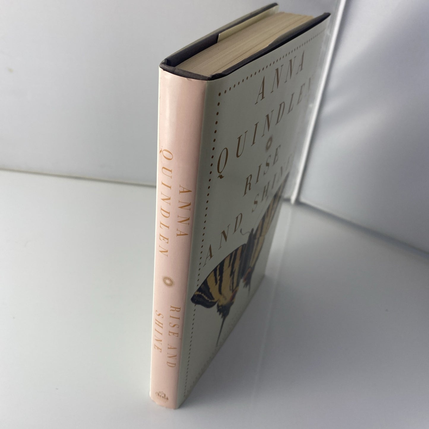Rise and Shine By Anna Quindlen Hardcover Morning Show Fiction Novel Book 1st Ed