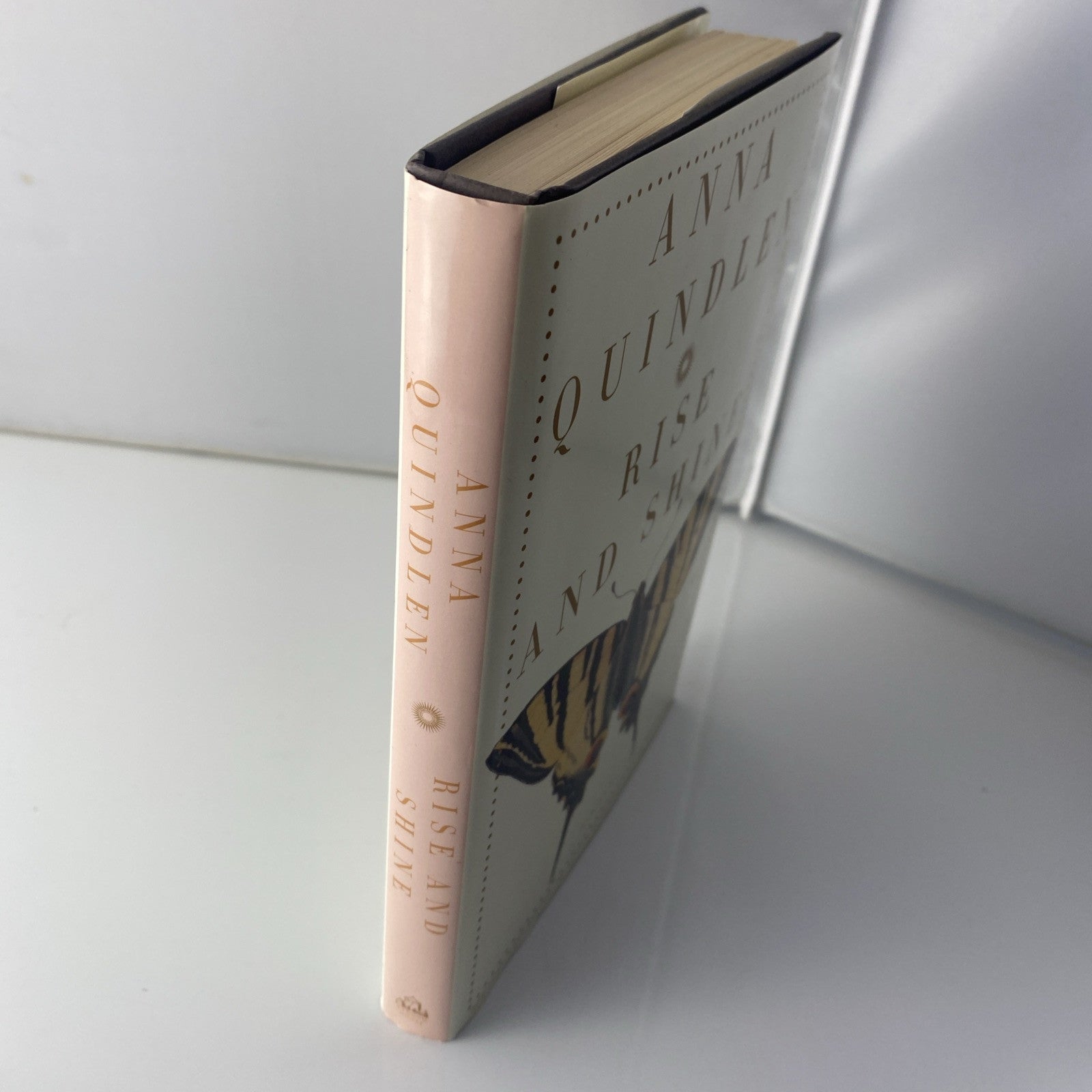 Rise and Shine By Anna Quindlen Hardcover Morning Show Fiction Novel Book 1st Ed