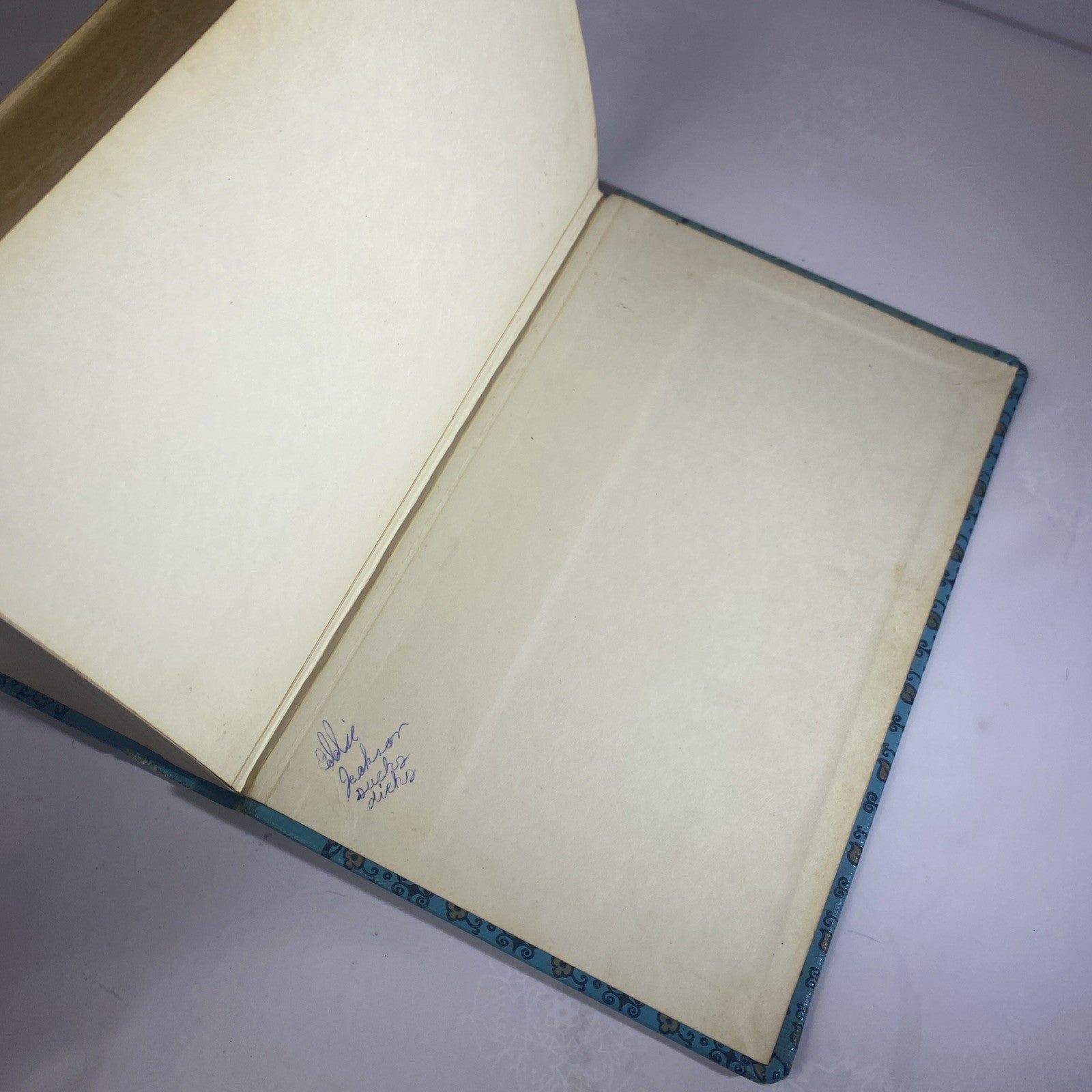 WILDERNESS BOY By Margery Evernden Rare Novel Chapter Book Rebound Vintage